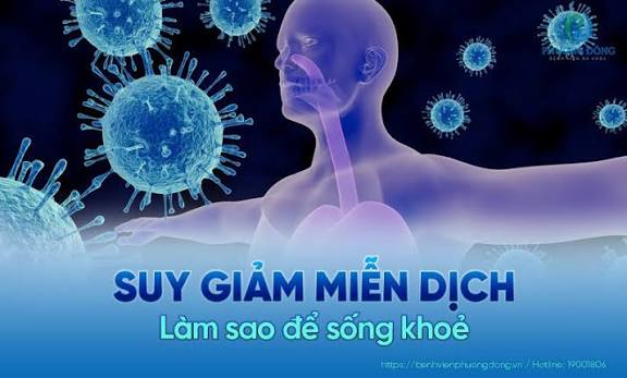 Thiếu Hụt Miễn Dịch: Phân Loại, Chi Phí Truyền Immunoglobulin Và Vai Trò Bảo Hiểm