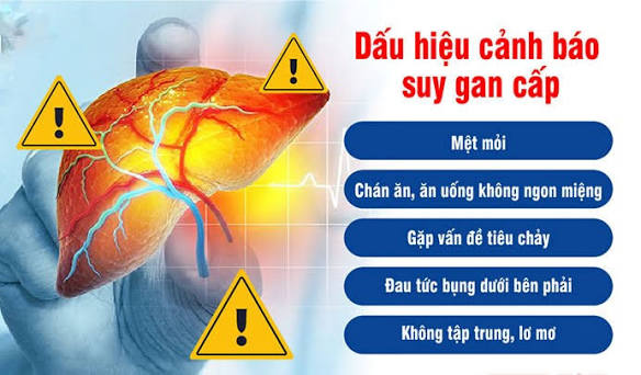 Suy Gan Cấp: Dấu Hiệu, Nguyên Nhân và Cách Bảo Vệ Tài Chính Khi Điều Trị
