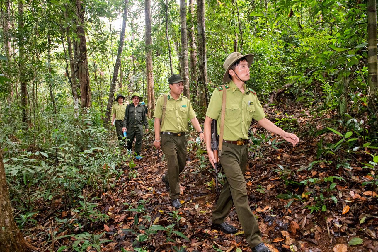 Bảo Hiểm Nhân Thọ Cho Người Làm Nghề Lâm Nghiệp: Bảo Vệ Những Người Giữ Rừng - Tặng Sinh Trắc Vân Tay - Daiichi Life 0932416712