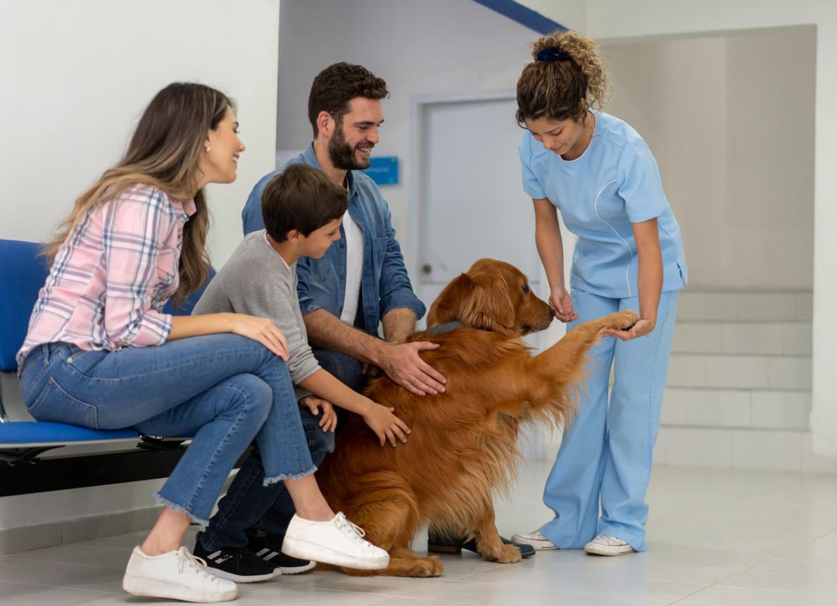 Bảo hiểm thú cưng tại Việt Nam : Các gói, chi phí & kinh nghiệm mua